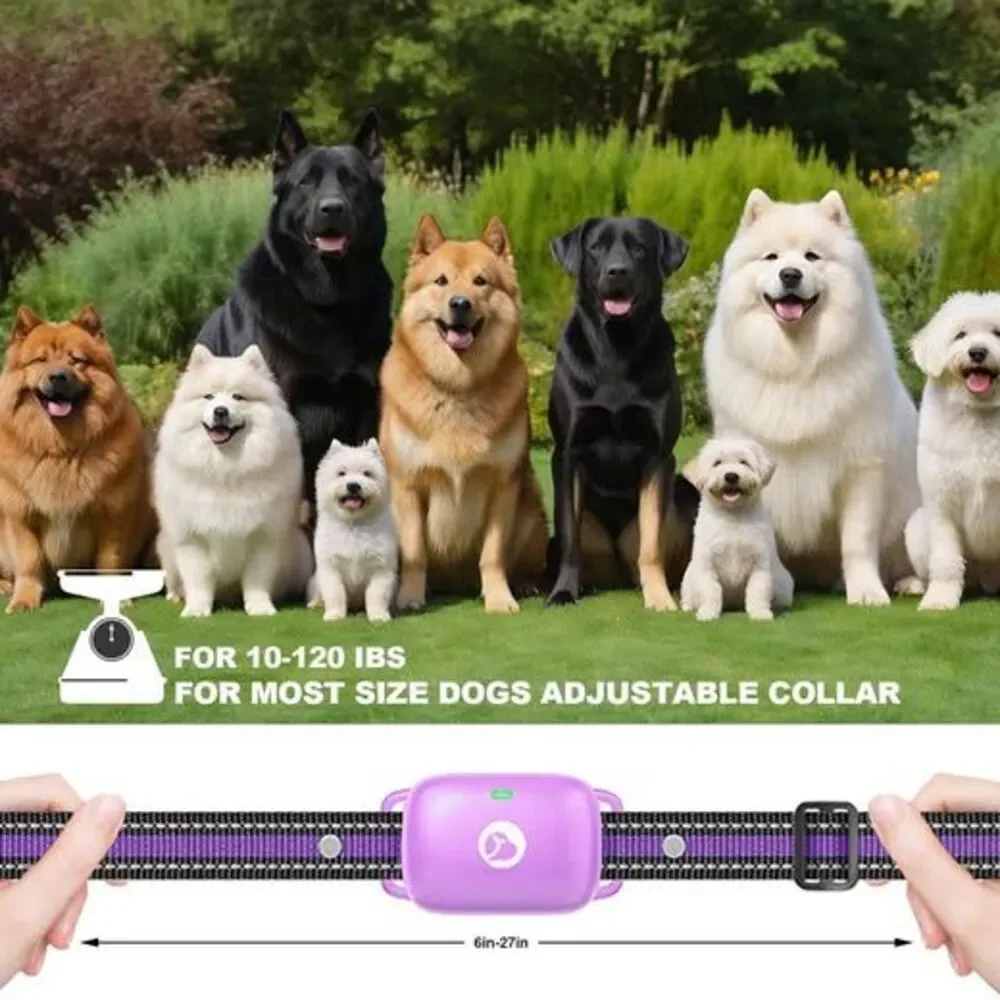 Purple Dog Shock Collar - 2600FT Dog Training Collar with Remote